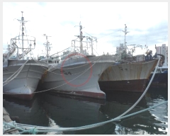  2024Ÿ��7590  ���ڰ��