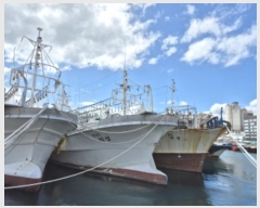  2024Ÿ��7590  ���ڰ��