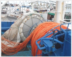  2024Ÿ��7590  ���ڰ��