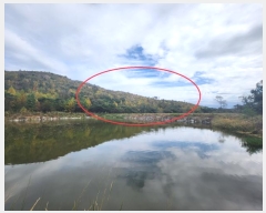  2024Ÿ8142  ֱ   19-4      (Ӿ)