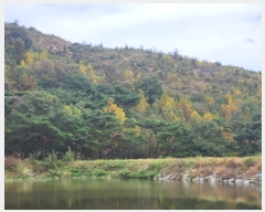  2024Ÿ8142  ֱ   19-4      (Ӿ)