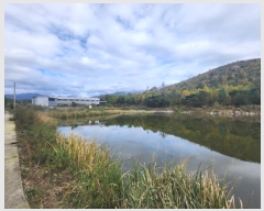  2024Ÿ8142  ֱ   19-4      (Ӿ)