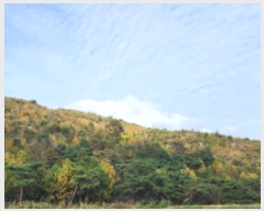  2024Ÿ8142  ֱ   19-4      (Ӿ)