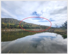  2024Ÿ8142  ֱ   19-4      (Ӿ)