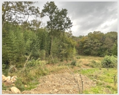  2024Ÿ��8203  ���������