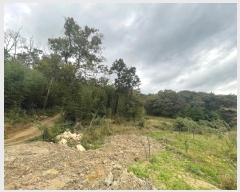  2024Ÿ��8203  ���������