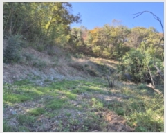  2024Ÿ��8203  ���������