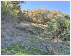  2024Ÿ��8203  ���������