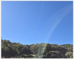  2024Ÿ��8203  ���������