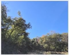  2024Ÿ��8203  ���������