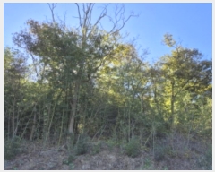  2024Ÿ��8203  ���������