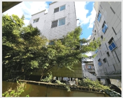  2024Ÿ8470   ŵ 1240-3       ٰð