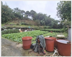  2024Ÿ��8548  �������