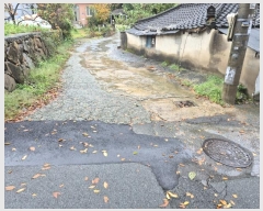  2024Ÿ��8548  �������