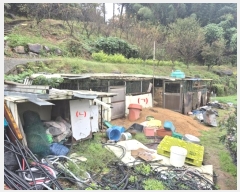  2024Ÿ��8548  �������