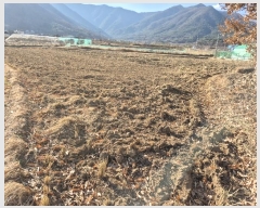  2024Ÿ10169  ֱ ϸ Ÿ 548      ()