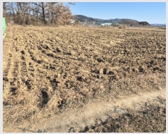  2024Ÿ10169  ֱ ϸ Ÿ 548      ()