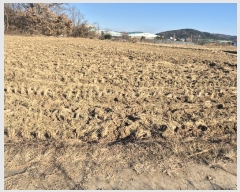  2024Ÿ10169  ֱ ϸ Ÿ 548      ()