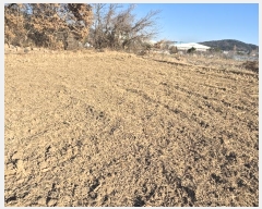  2024Ÿ10169  ֱ ϸ Ÿ 548      ()