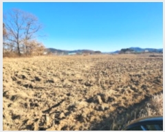  2024Ÿ10169  ֱ ϸ Ÿ 548      ()