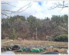  2024Ÿ102556  ֱ ¾  148-7      (Ӿ)