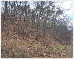  2024Ÿ102556  ֱ ¾  148-7      (Ӿ)