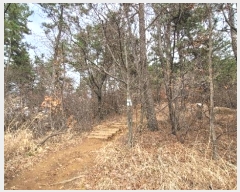  2024Ÿ102556  ֱ ¾  148-7      (Ӿ)