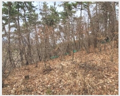  2024Ÿ102556  ֱ ¾  148-7      (Ӿ)