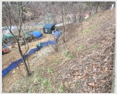  2024Ÿ102556  ֱ ¾  148-7      (Ӿ)