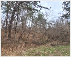  2024Ÿ102556  ֱ ¾  148-7      (Ӿ)