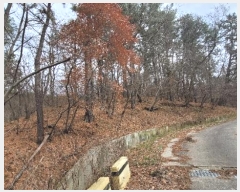  2024Ÿ102556  ֱ ¾  148-7      (Ӿ)