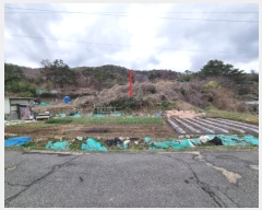  2024Ÿ��102761 ��� �ϱ� �Ÿ��� 137       ����(��1)���