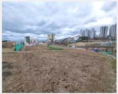  2024Ÿ��102761 ��� �ϱ� �Ÿ��� 137       ����(��1)���