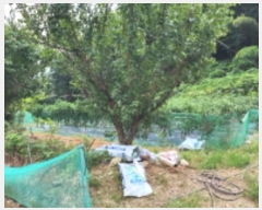  2024Ÿ106893 泲  ϸ ܼ 759-2      ()