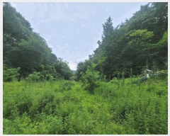  2024Ÿ��109779  �����