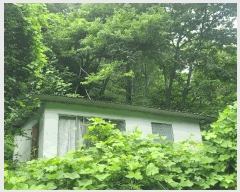  2024Ÿ��109779  �����