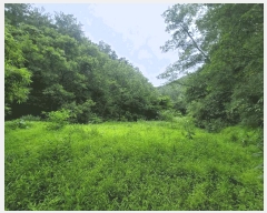  2024Ÿ��109779  �����