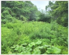  2024Ÿ��109779  �����