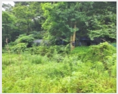  2024Ÿ��109779  �����