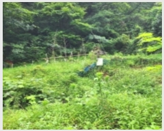  2024Ÿ��109779  �����