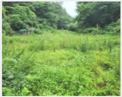  2024Ÿ��109779  �����