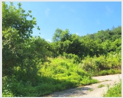  2024Ÿ110328  ֱ  λ긮 928-4      ()