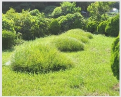  2024Ÿ110328  ֱ  λ긮 928-4      ()