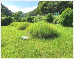  2024Ÿ110328  ֱ  λ긮 928-4      ()