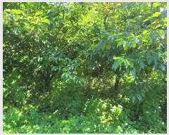  2024Ÿ110328  ֱ  λ긮 928-4      ()