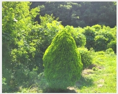  2024Ÿ110328  ֱ  λ긮 928-4      ()