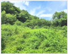  2024Ÿ110328  ֱ  λ긮 928-4      ()