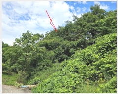  2024Ÿ��111055  �Ӿ߰��