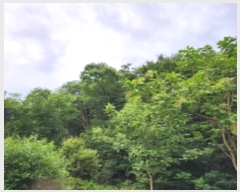  2024Ÿ��111055  �Ӿ߰��