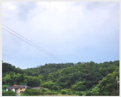  2024Ÿ��111055  �Ӿ߰��